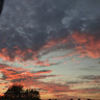 gloria_townsley